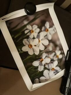 Авторские фотонатюрморты