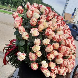 Розы огромный букет