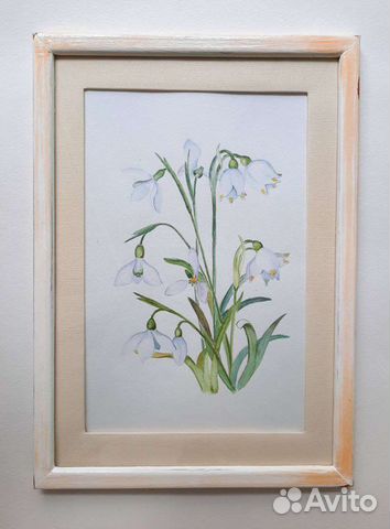 Картина, ботаническая акварель