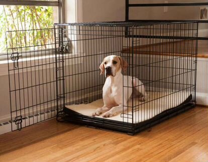 Клетка для Собак