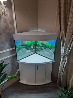 Аквариумы угловые