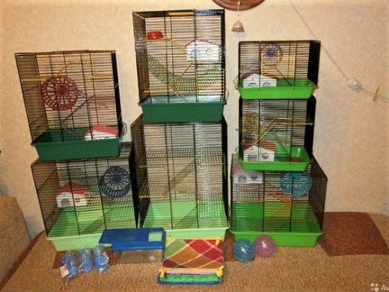 Клетки, хомяки, крысы, дегу, мыши