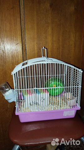 Клетка для хомячка,корм, аксессуары