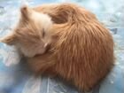 Фигурка «Спящий котёнок»