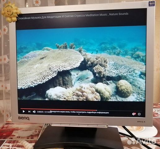 Монитор BenQ fp91gx