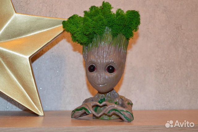 Кашпо Грутс с стабилизированным мхом