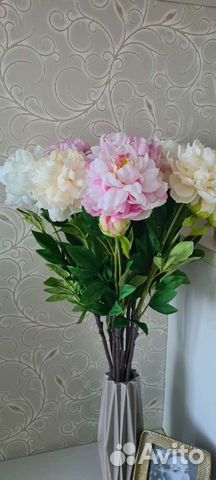 Искусственны пионы