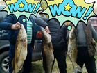 Организация рыбалки на Волге (Горьковское водохран объявление продам