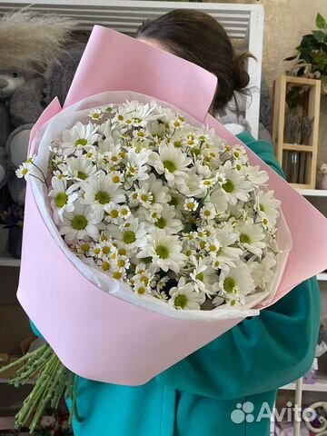 Цветы ромашки