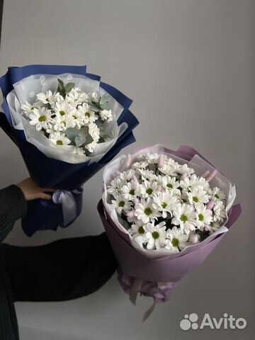 Цветы, букет гигант, хризантемы, ромашки