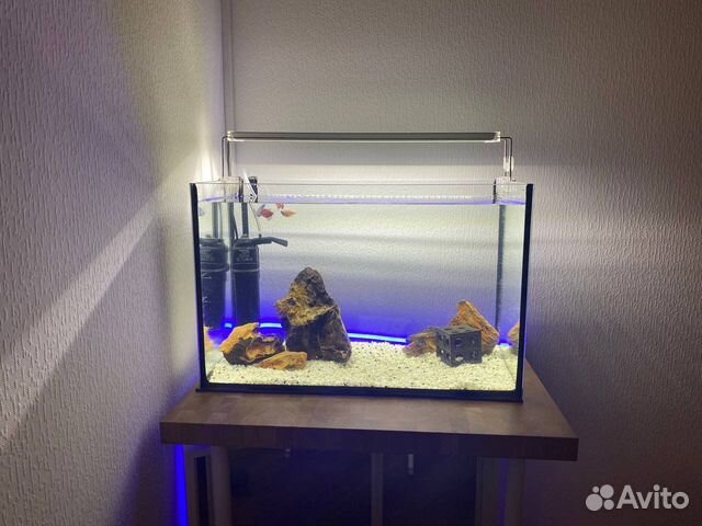 Аквариум