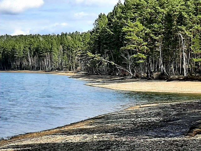 Участок 56,3 сот. (СНТ, ДНП)