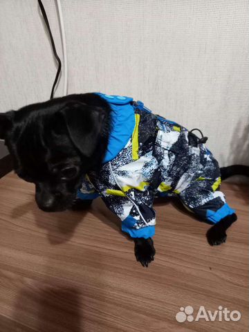 Комбинезон для маленькой собаки
