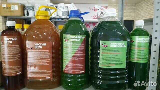 Хлорелла. Хлорелла Комбо. Биобактерия