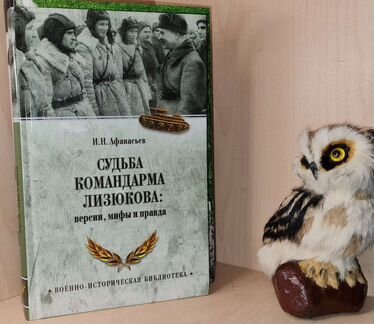 Афанасьев И. Н. Судьба командарма Лизюкова. Верси