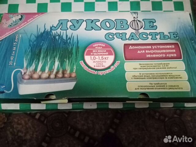 Луковое Счастье-для выгонки зелени