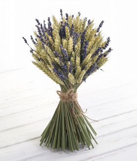 Букет из разноцветных гвоздик