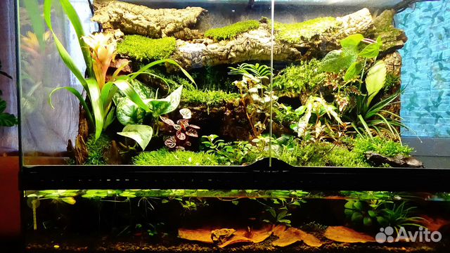 Поролон для аквариумов, террариумов,палюдариумов