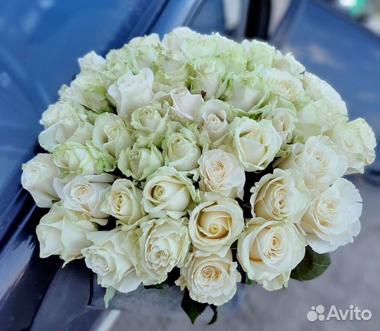 Цветы 51 роза белая