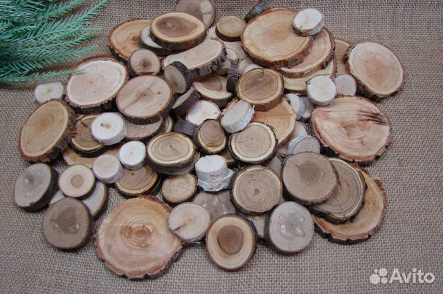 Спилы Набор 100 шт. разных размеров и пород дерева