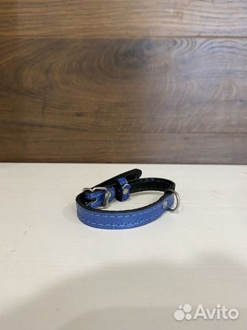 Кошачий ошейник для животных