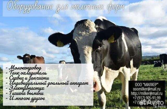 Оборудование для производства и переработки молока
