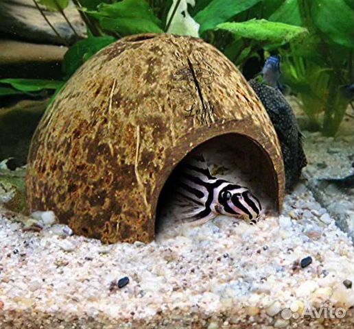 Украшение аквариума - домик для рыбок