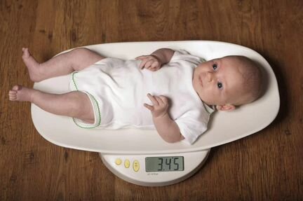 Аренда. Электронные весы Laica