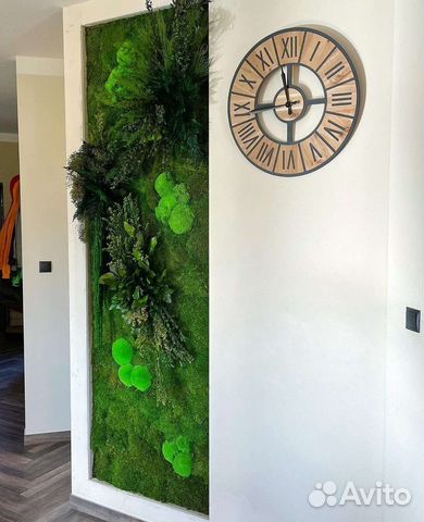 Мох стабилизированный фитокартина фитостена панно