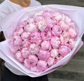 39 крупных розовых пионов №222