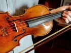 Настройка и мелкий ремонт скрипки