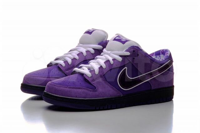 Concepts x Nike SB Dunk Low Purple 
