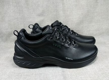 Ecco biom