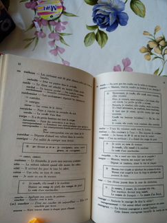 Французский словарь написания и употребления