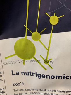 Сухой корм для собак prolife sensitive adult mediu