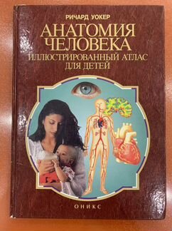 Анатомия селовека для детей