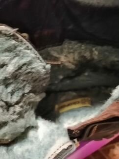 Ботинки зимние скороход, 27 размер