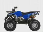 Квадроцикл Tiger Extra 175 Blue объявление продам