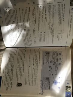 Schritte international A1/2