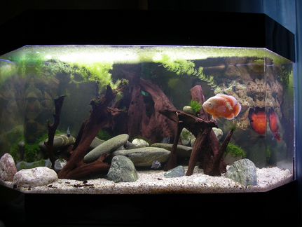 Аквариум 400л