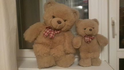 Плюшевый медведь