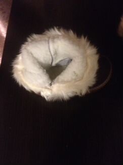 Новые детские угги