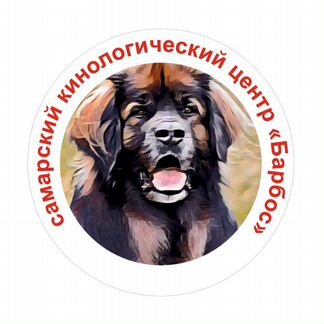 Дрессировка собак всех пород Услуги кинолога