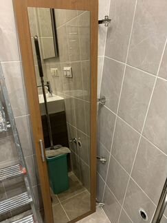 Дверца с зеркалом