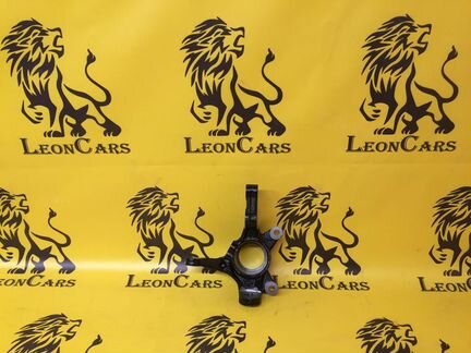 Кулак поворотный Солярис Поворотный кулак Solaris