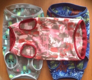 Одежда для кошек, сфинксов, маленьких собак