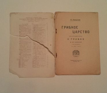 М.Новорусский «Грибы» 1919г
