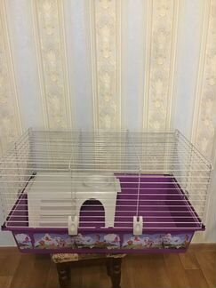Клетка