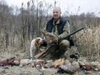 Охота на фазана объявление продам