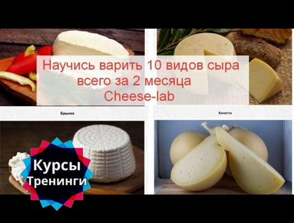 Научись варить 10 видов сыров всего за 2 месяца
